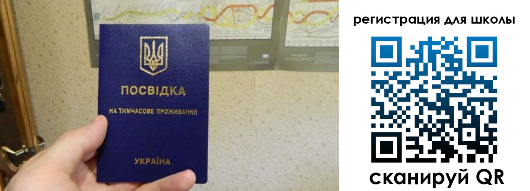 временная прописка в Боре